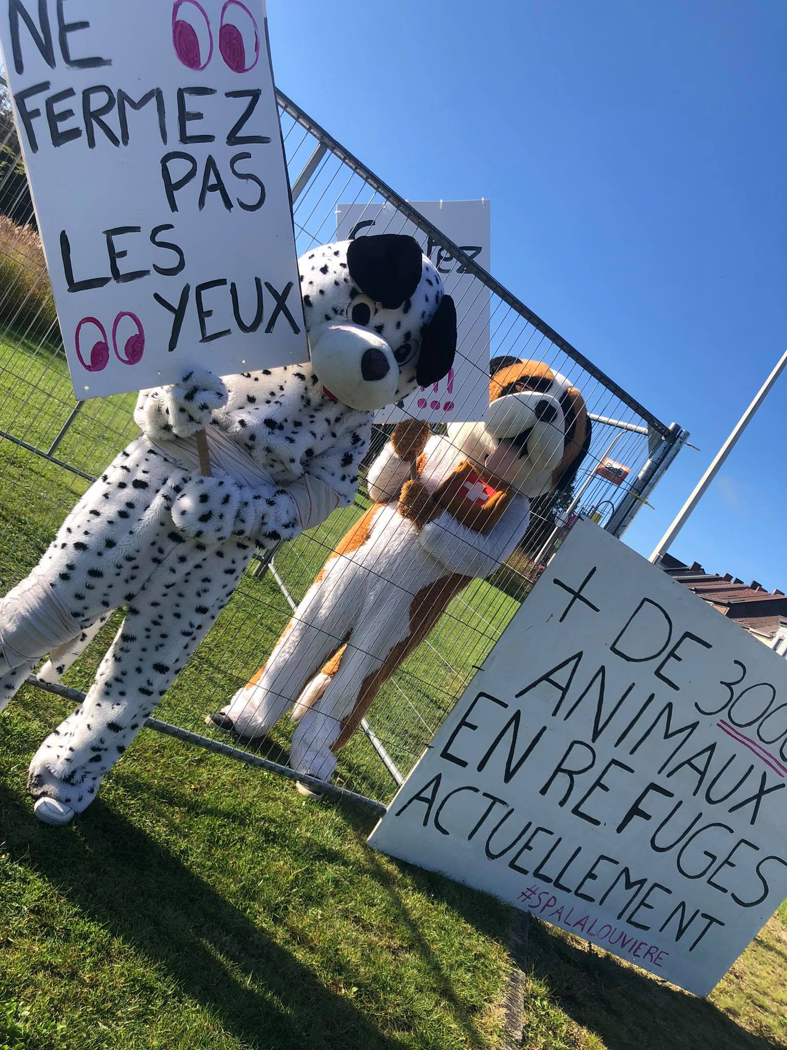 La Louvière : action choc de la SPA