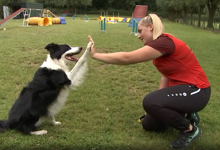 La Louvière : 3ème et 4ème place au championnat du monde junior d’agility pour Pauline Pellichero