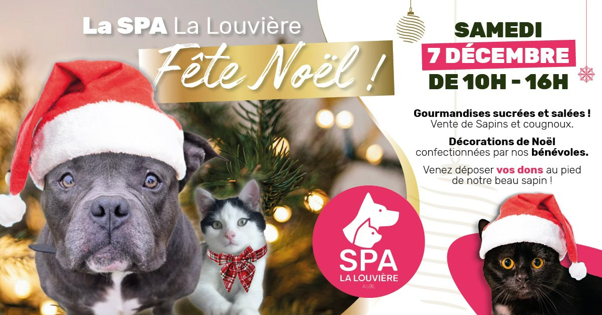 SPA-La Louvière : le Marché de Noël maintenu mais délocalisé