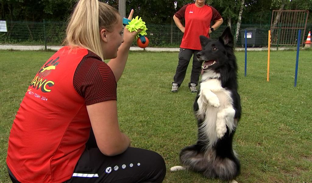 Agility: 2ème championnat du monde junior pour Pauline Pellichero