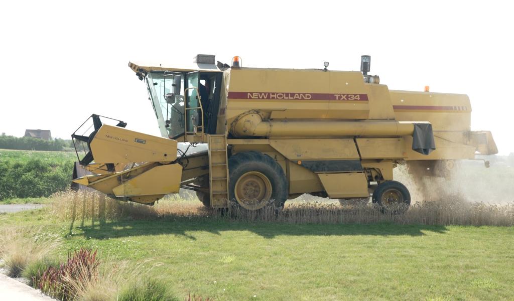 Agriculture : La moisson perturbée par les intempéries