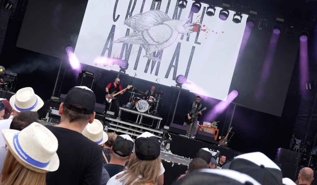 Ronquières Festival : Criminal Animal lance la dernière journée