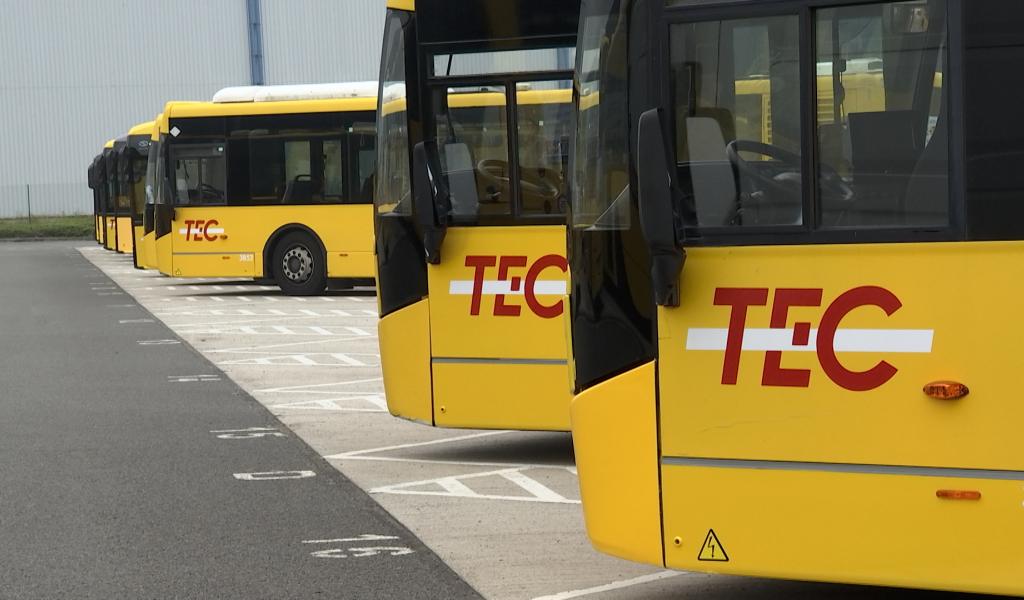 Centre: certains bus du TEC reprennent du service