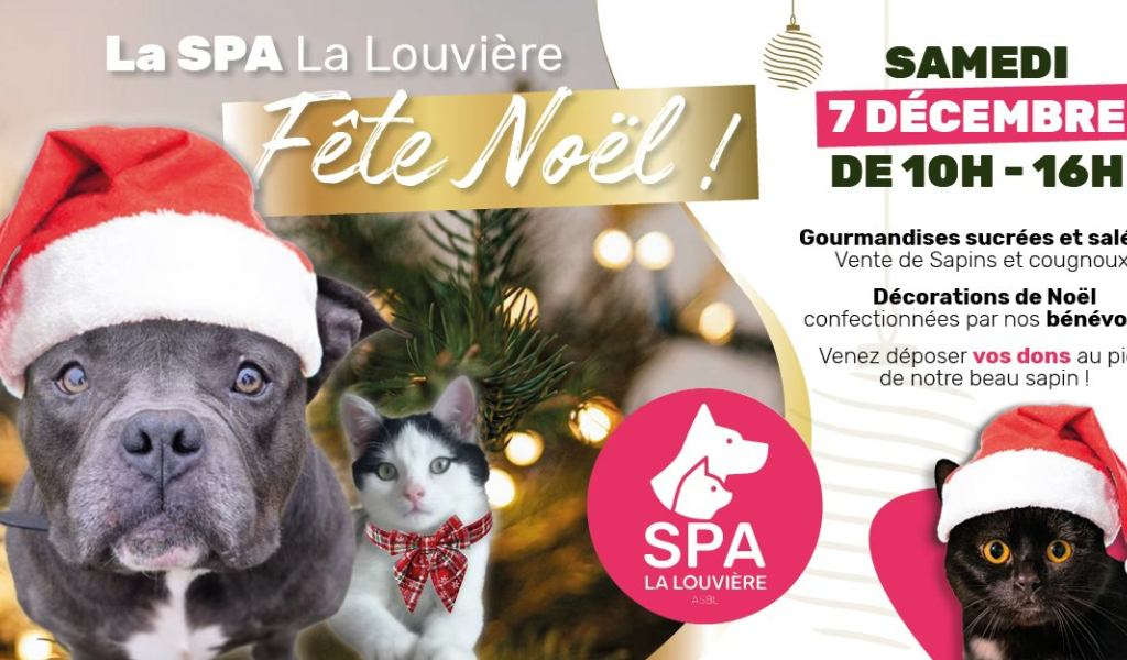 SPA-La Louvière : le Marché de Noël maintenu mais délocalisé