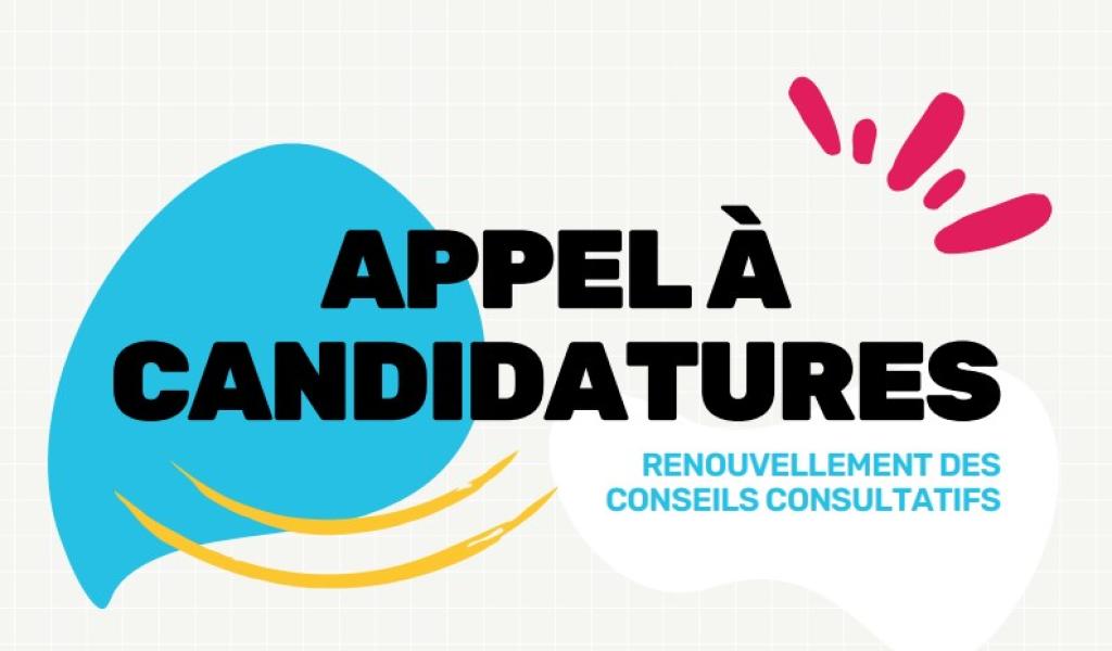 La Louvière : appel à candidatures pour le renouvellement des Conseils Consultatifs