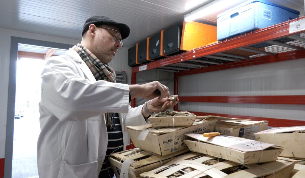 Binche: Les huîtres, un  produit phare du carnaval