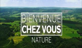 Bien venue chez vous "Nature"du 29 juillet 2020