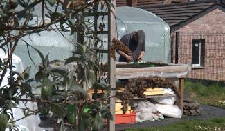 La Louvière: la conserverie du jardin: du local au bocal