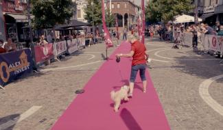 La Louvière : une journée internationale qui a du chien 