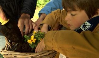 La Louvière : un budget participatif pour fleurir le quartier