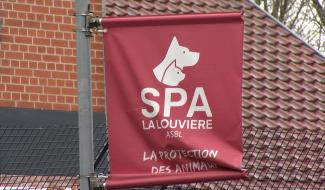 La Louvière : la SPA contre la restitution d'un chien