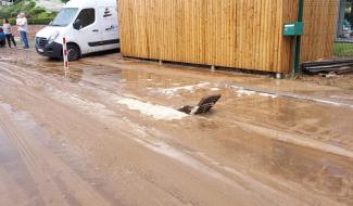 Météo : inondations à Soignes et Braine-le-Comte