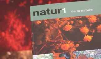 La Louvière : exposition " Natur1 de la nature " au MiLL