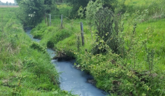 Pollution de la Pignarée : le responsable a été identifié