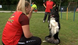 Agility: 2ème championnat du monde junior pour Pauline Pellichero