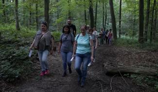 La Hestre: balade nocture sur le thème des Sorcières dans le Bois de Mariemont