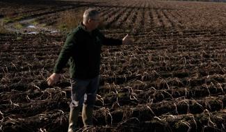 Binche: rencontre avec un producteur de pommes de terre