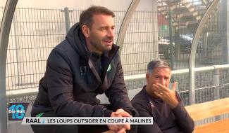 RAAL: Les loups outsider en coupe à Malines