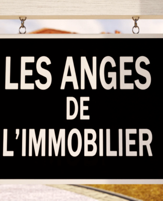 LES ANGES DE L'IMMOBILIER : le cohébergement