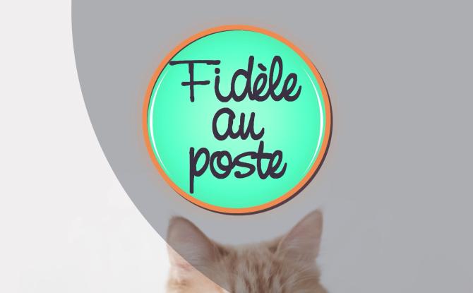 FIDELE AU POSTE - 22/11/2024