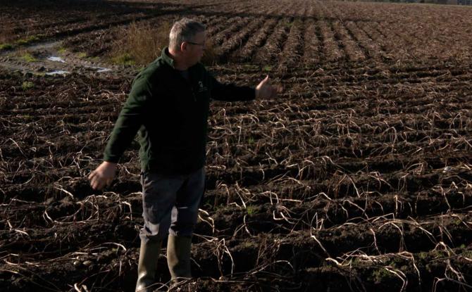 Binche: rencontre avec un producteur de pommes de terre